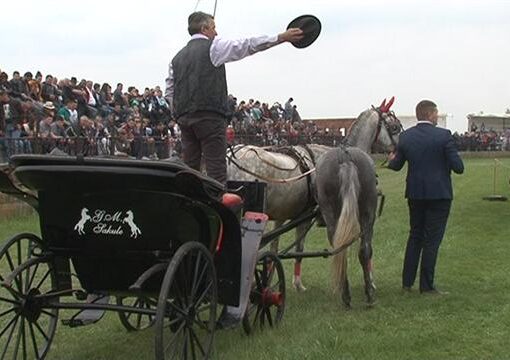 Crepaja: 30. „Crepajački fijaker“ okupiće 13. aprila ljubitelje tradicije i lipicanera na Vaskrs