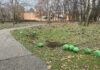 Udruženja mladih i aktivnosti na očuvanju prirode: Primeri iz Kovačice