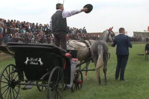 Crepaja: 30. „Crepajački fijaker“ okupiće 13. aprila ljubitelje tradicije i lipicanera na Vaskrs